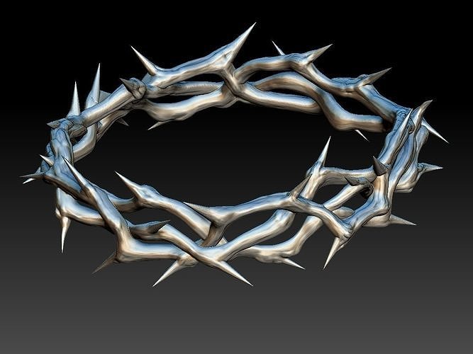 Sacred Scourge: The Crown of Thorns and the Passion of Christ hero image